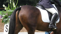 Back