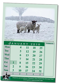 2010 Calendar