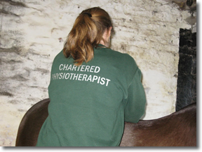 Horse Physio